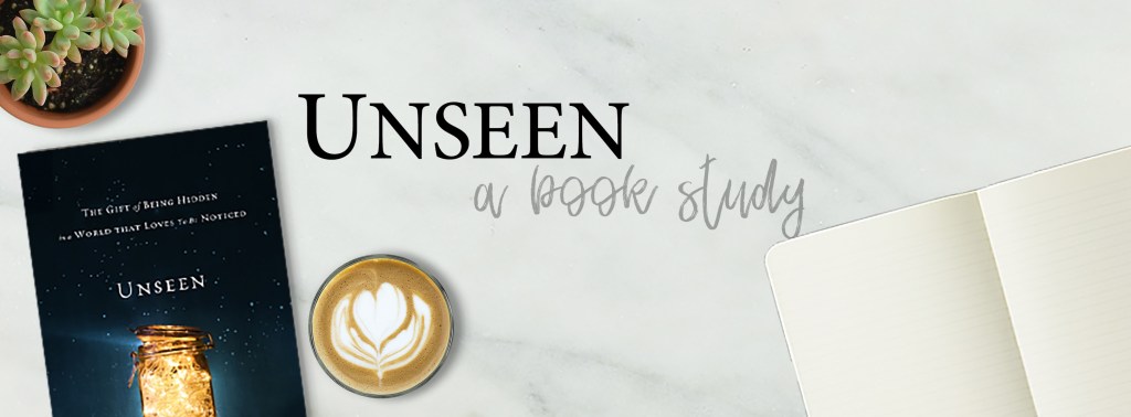 Unseen ~ Book Study&nbsp;Launch