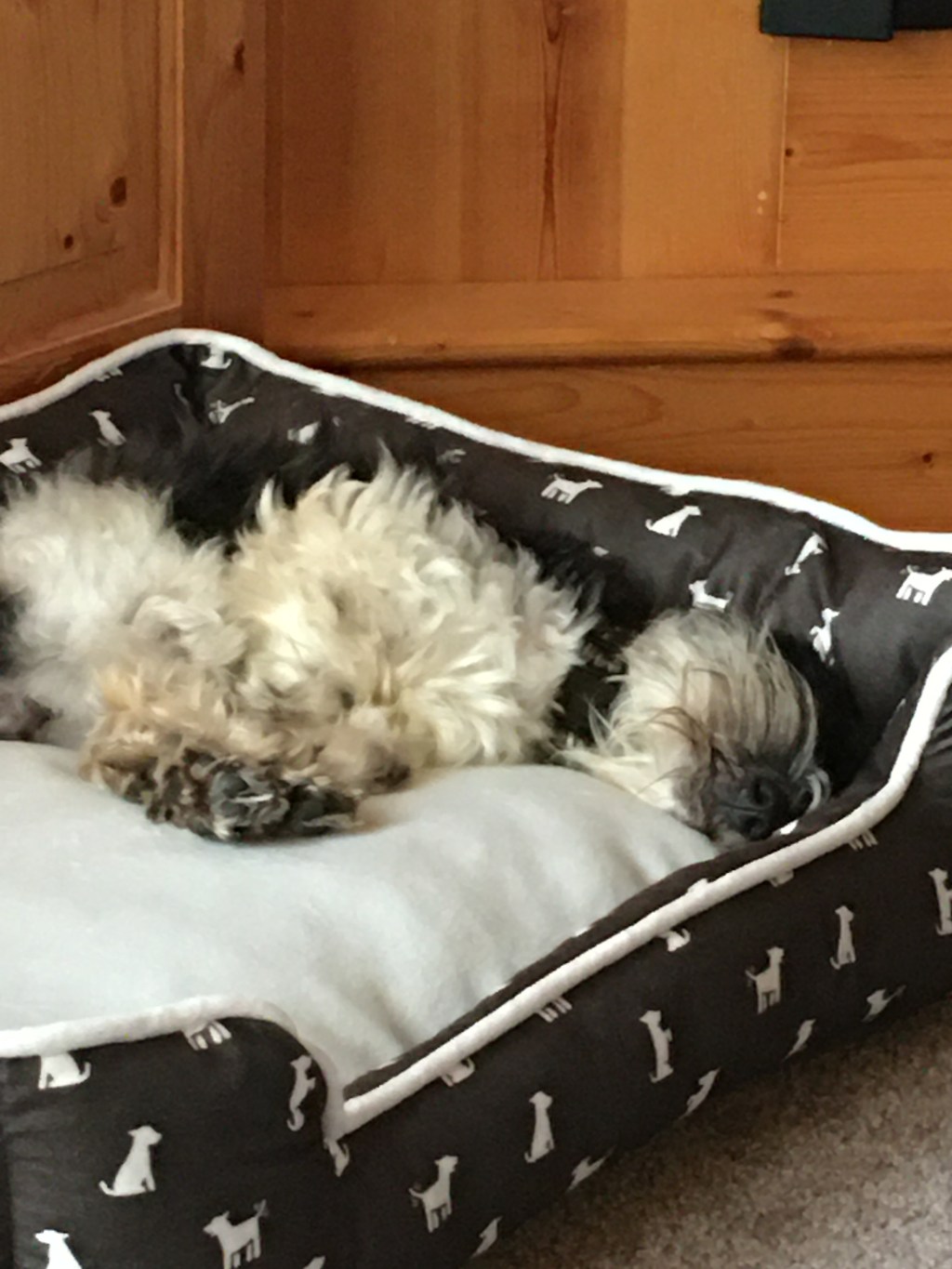 One Year and&nbsp;Counting